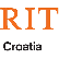 partner's logo